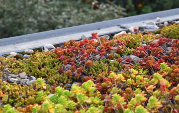 the cost of Leam green roof installation