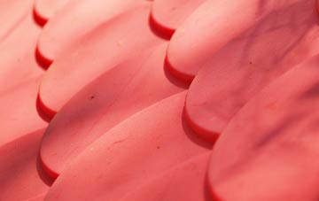 Leam plastic roof costs