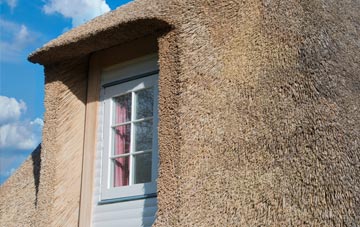 Leam thatch roof disadvantages
