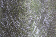 Leam fibreglass roof work